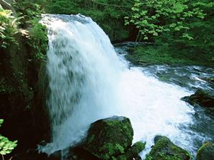 静岡駅南口から徒歩5分の便利な立地！東横INN静岡駅南口の魅力と施設詳細