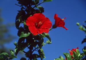 横浜市営地下鉄センター南駅からアクセス抜群！快適な滞在を実現する東横INN横浜市営地下鉄センター南駅の魅力