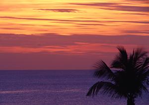 岐阜羽島駅から徒歩3分！快適さと便利さを兼ね備えた【東横INN岐阜羽島駅新幹線南口】の魅力と利用ガイド