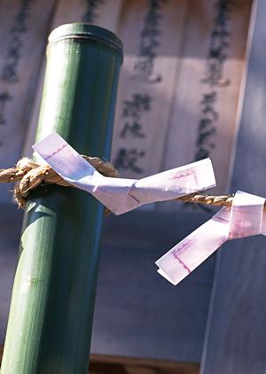 茨城県土浦市のビジネスホテル「東横INN土浦駅東口」：快適な宿泊体験と便利なアクセスを提供