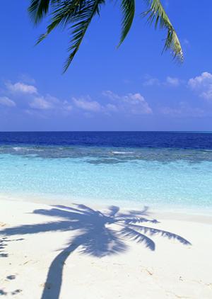 広島駅から徒歩9分！快適な滞在を提供する東横INN広島駅スタジアム前の魅力と特徴